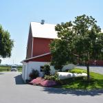 2017OTRA-1_412 (August 24, 2017)